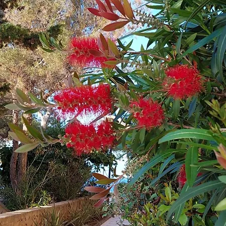 아파트 Bellavista 2 베리로신즈